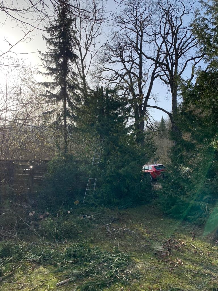 4844AADA 673A 4144 B8E6 71B78A2D8980 Haus & Garten Wernigerode