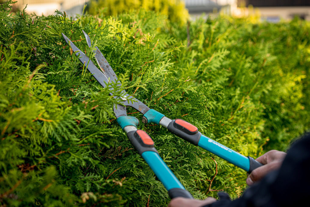 Gartenservice, Hecke trimmen